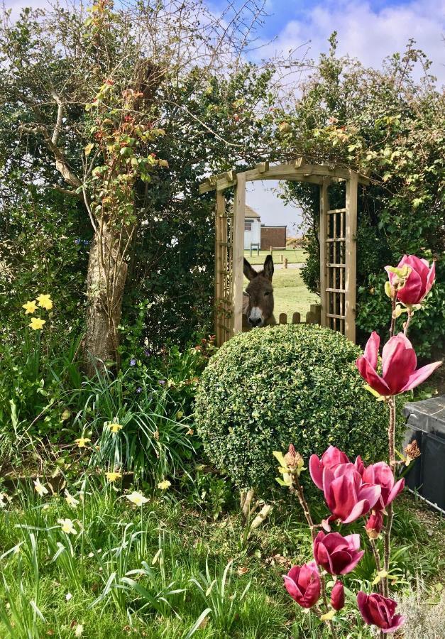 The Wayside Shepherd Hut Beaulieu Exterior foto