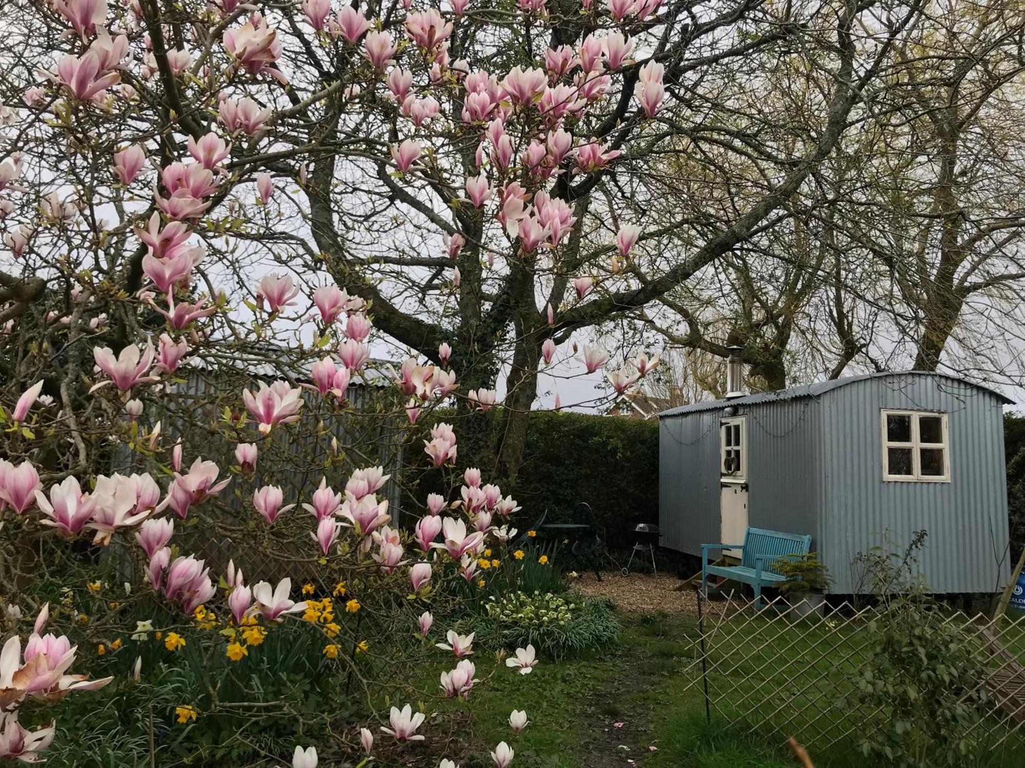 The Wayside Shepherd Hut Beaulieu Exterior foto