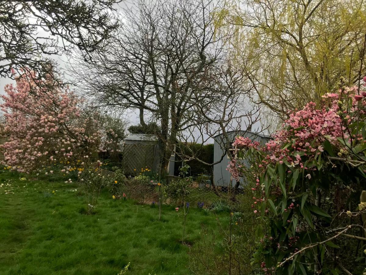 The Wayside Shepherd Hut Beaulieu Exterior foto